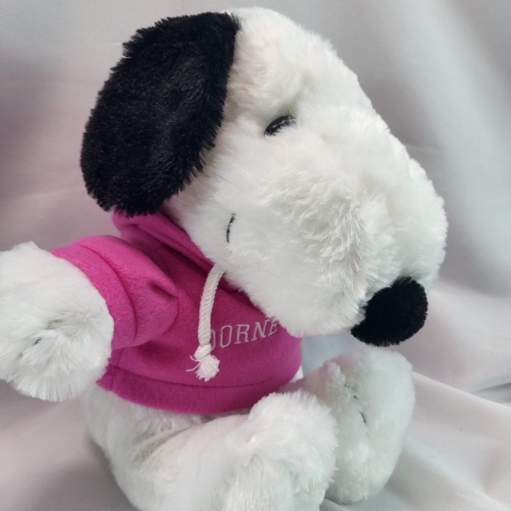 Dorney Park 14" Snoopy Puppy Stuffed Plush Pink‎ Sweatshirt Hoodie Cedar Fair